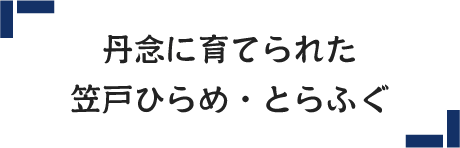 丹念に育てられた笠戸ひらめ・とらふぐ